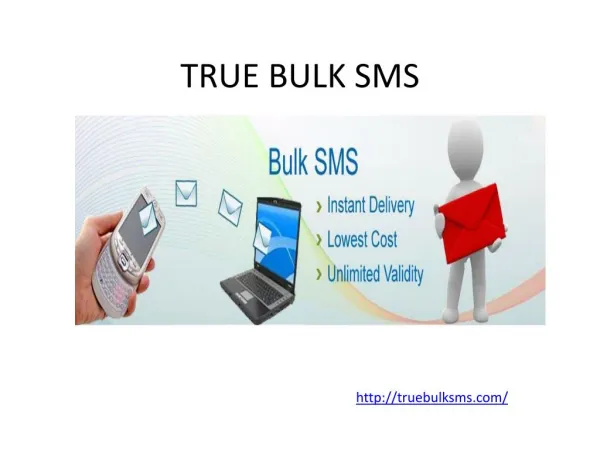 True Bulk SMS Service Provider