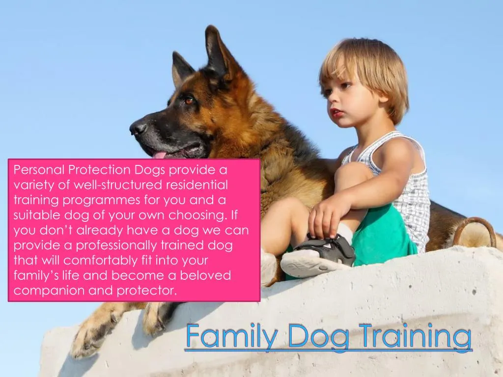 family dog training
