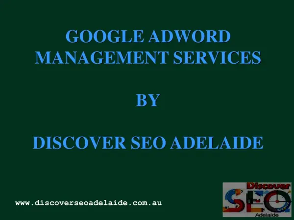Google Adwords Management Services in Adela
