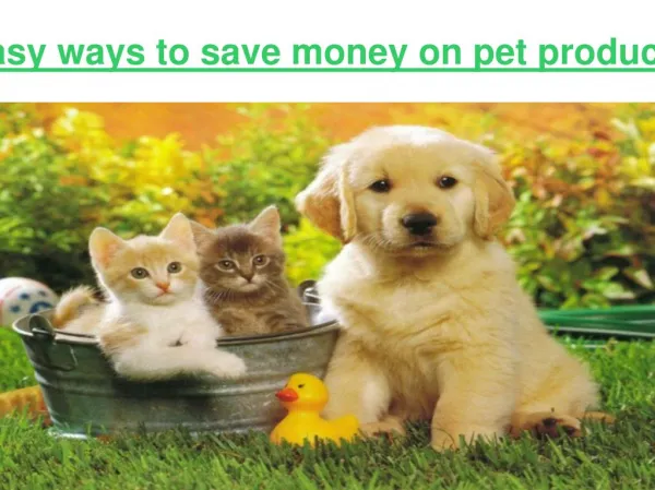 Easy ways to save money on pet products