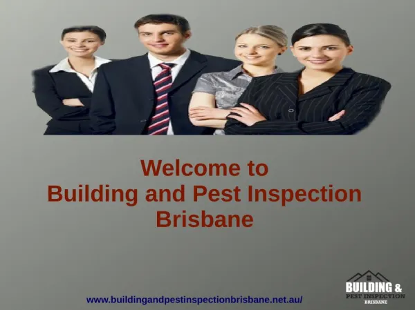 Pest And Building Inspection Brisbane
