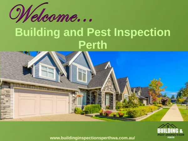 Building And Pest Inspection Services In Perth