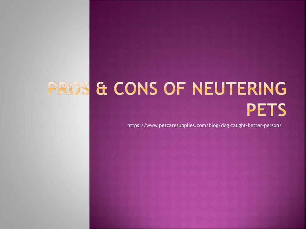 pros cons of neutering pets
