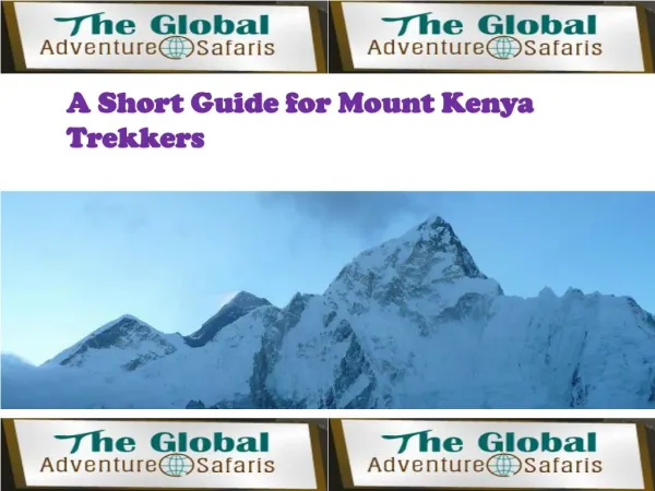 Mount Kenya Trekkers