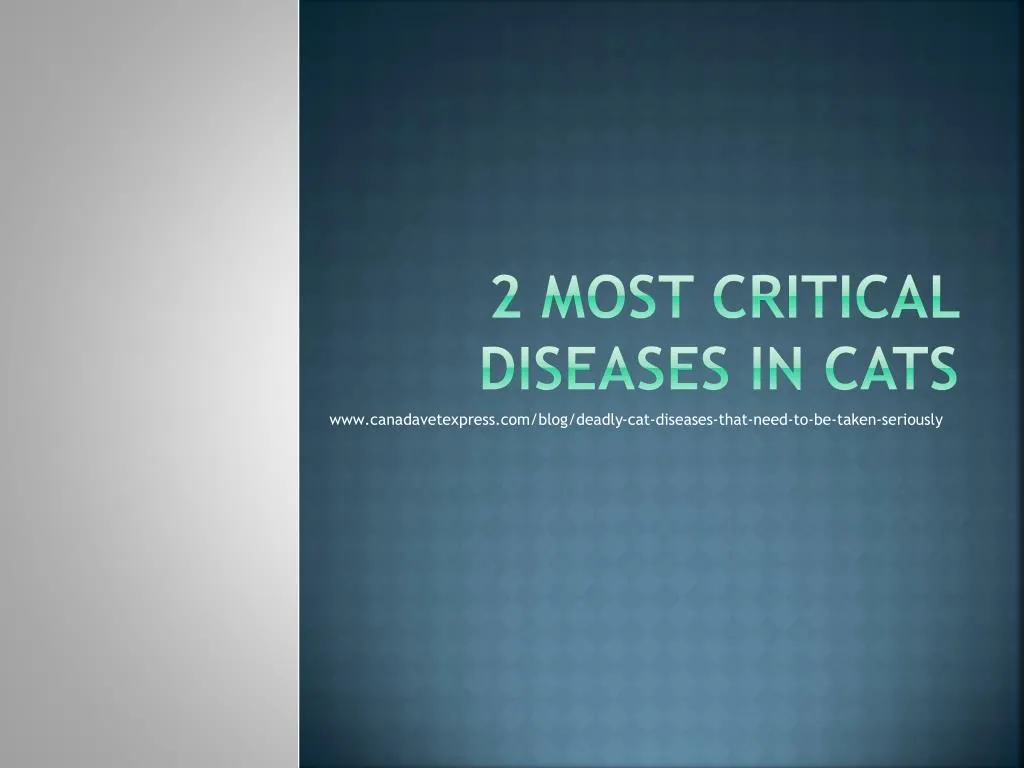 2 most critical diseases in cats