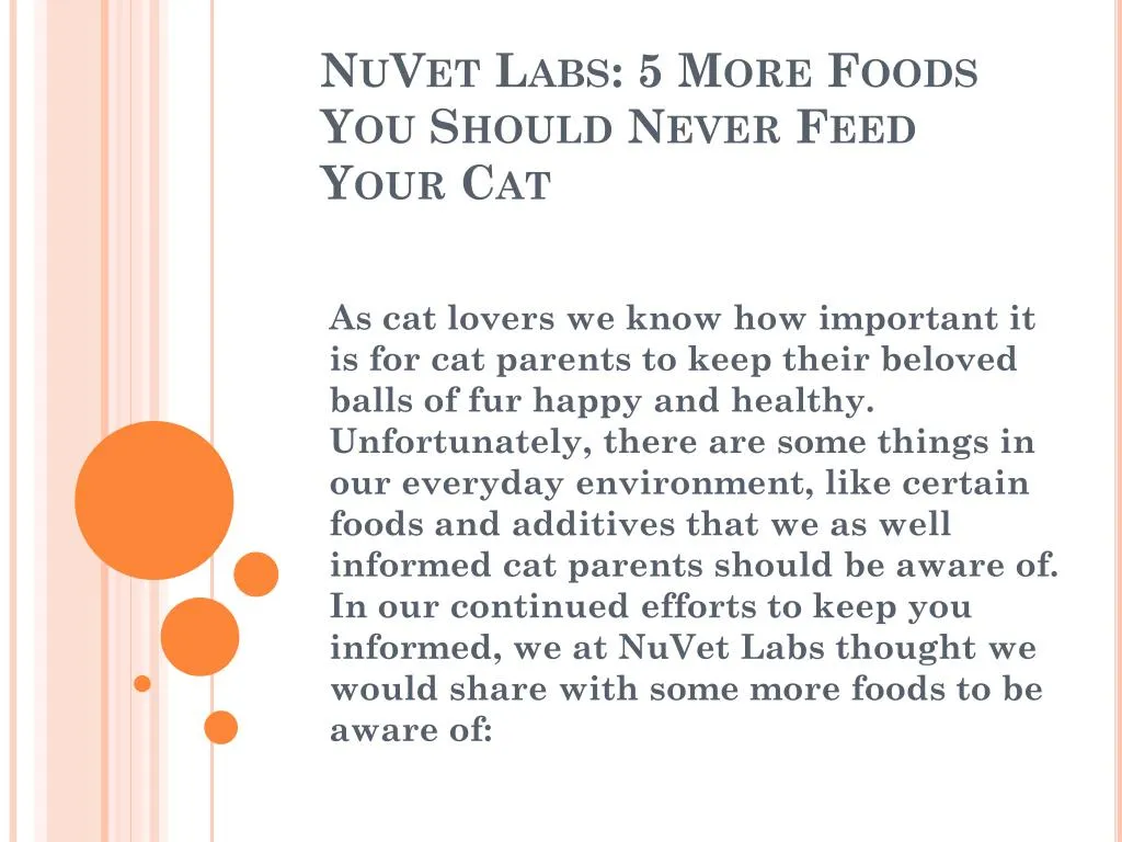 nuvet labs 5 more foods you should never feed your cat