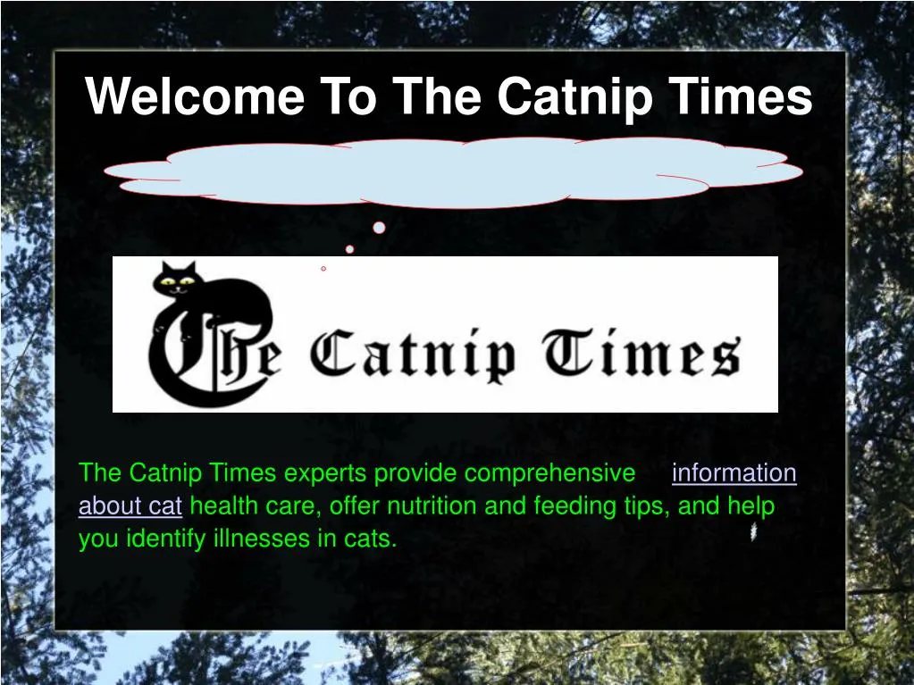 welcome to the catnip times