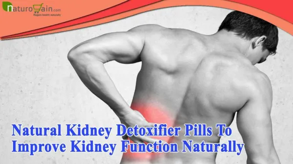 Natural Kidney Detoxifier Pills To Improve Kidney Function Naturally