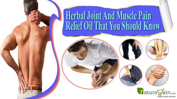 Herbal Joint And Muscle Pain Relief Oil That You Should Know