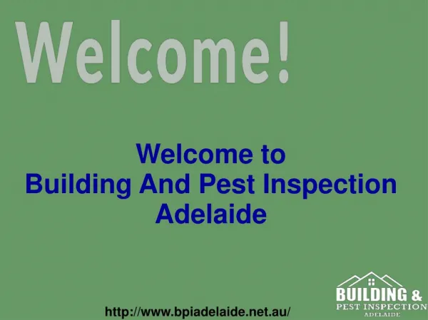 Pest Inspection services in Adelaide