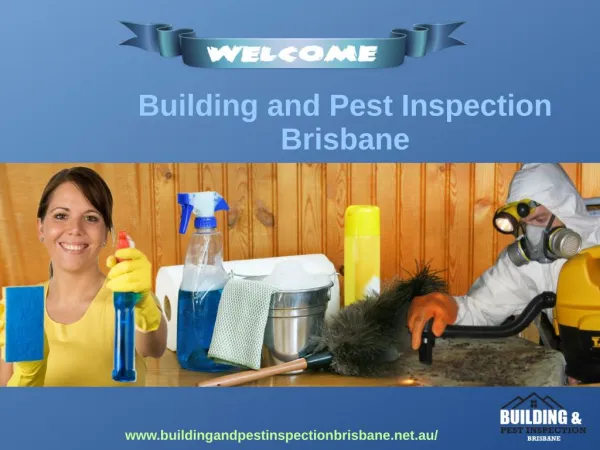 Building and Pest Inspections Brisbane