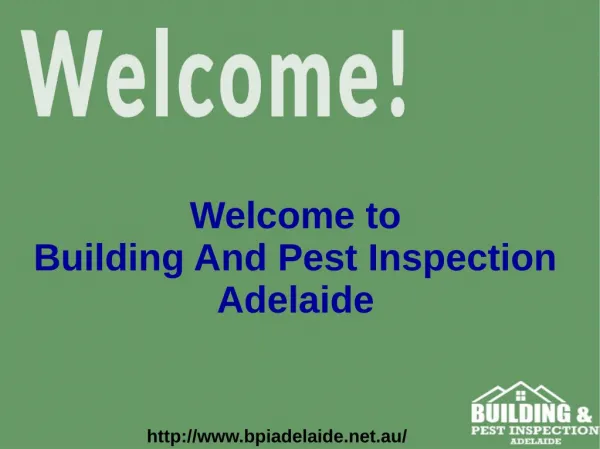 Adelaide Pest And Building Inspection