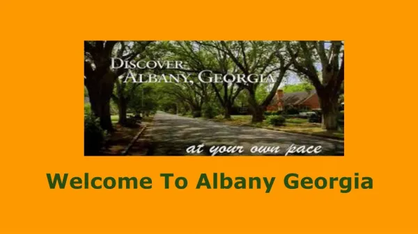 Best Things To Do In Albany GA In Vacations