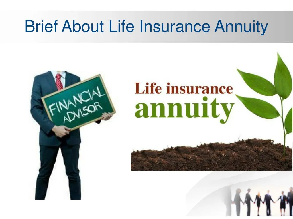 brief about life insurance annuity
