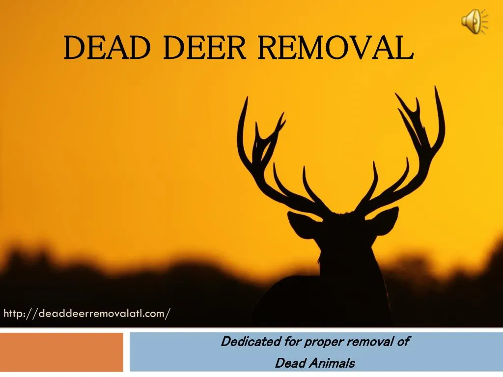dead deer removal