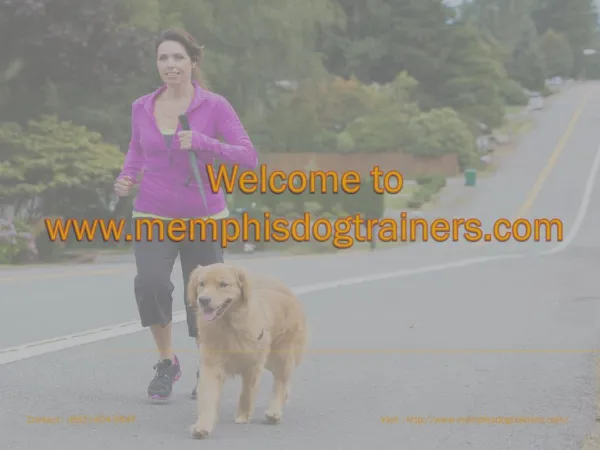 Memphis dog training