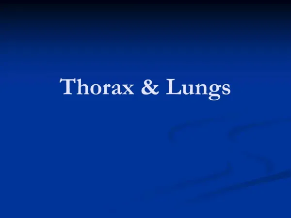 Thorax Lungs