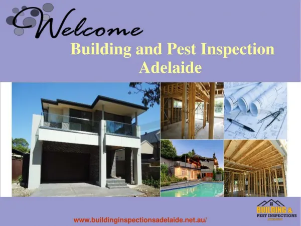 Best Pest Inspection Services In Adelaide
