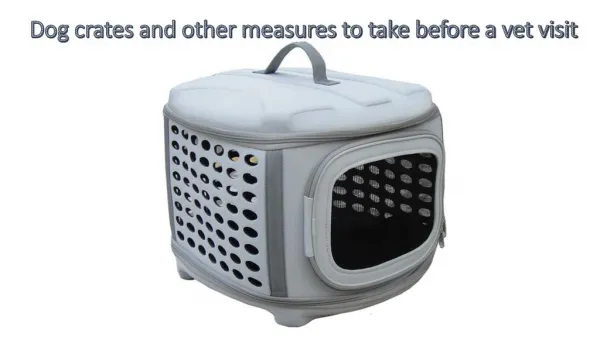 Dog crates and other measures to take before a vet visit