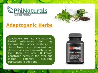 Adaptogens - slide 1