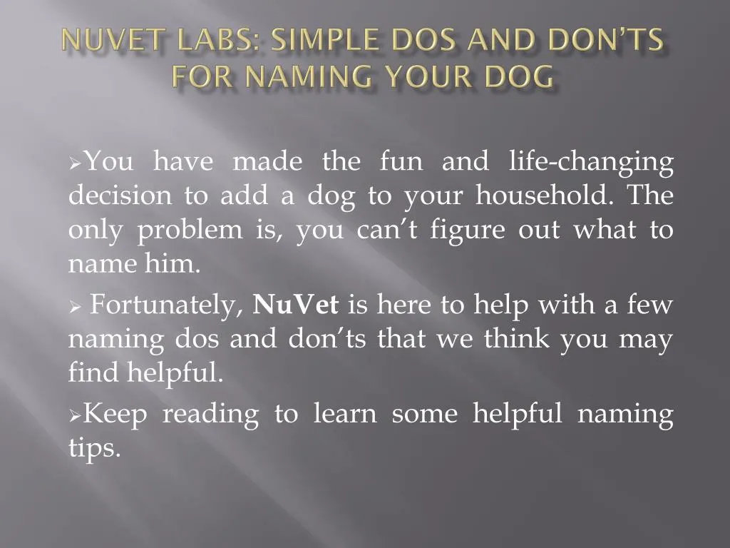 nuvet labs simple dos and don ts for naming your dog
