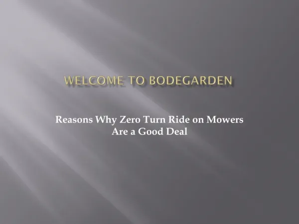 Reasons Why Zero Turn Ride on Mowers Are a Good Deal