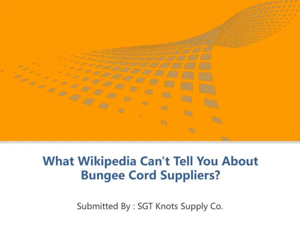 What Wikipedia Can't Tell You About Bungee Cord Suppliers?
