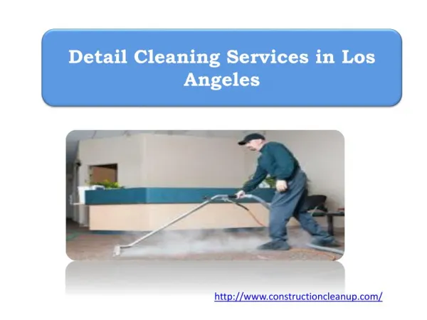 Detail Cleaning Services in Los Angeles