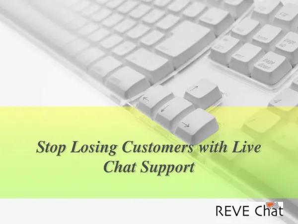 Live Chat Support for Website - REVE Chat