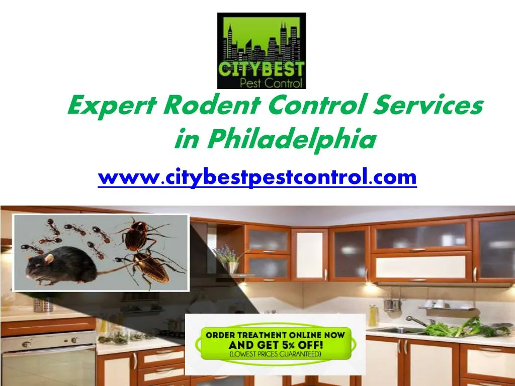 expert rodent control services in philadelphia