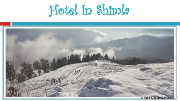 Hotel In Shimla - Snow King Retreat