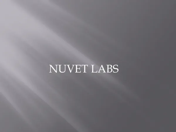 NuVet Labs Reviews : Holiday Plants to Keep Away from Your Pets