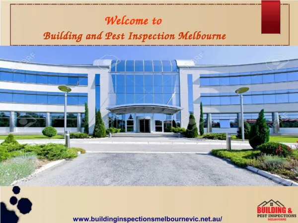 Pest Inspection Melbourne