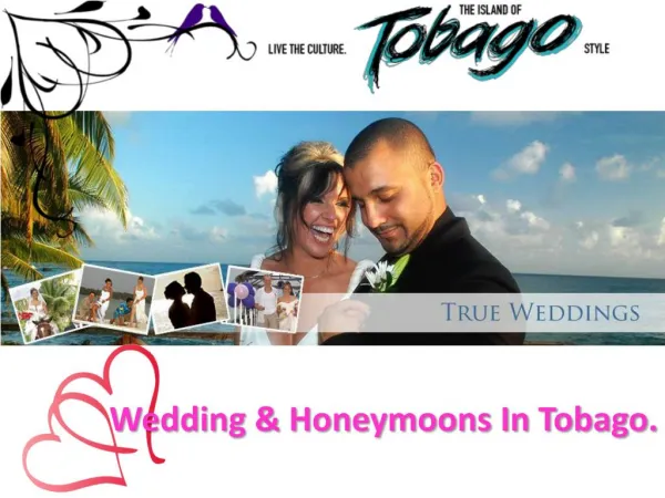 Wedding & Honeymoons In Tobago.