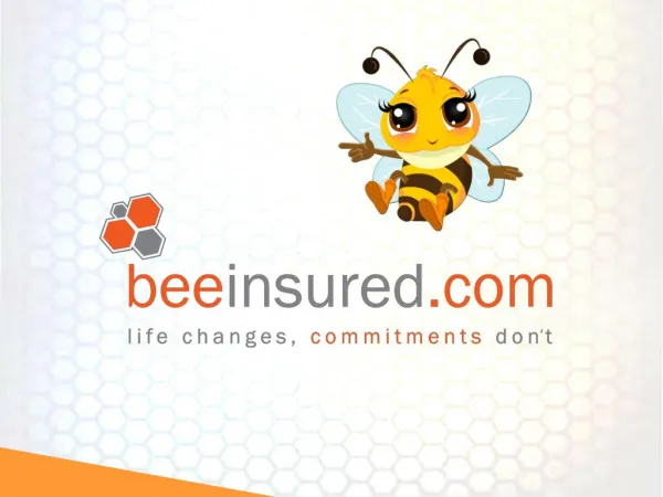 Beeinsured company profile