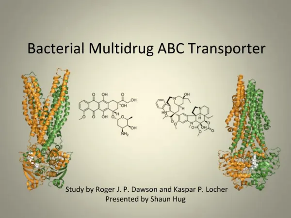 Bacterial Multidrug ABC Transporter
