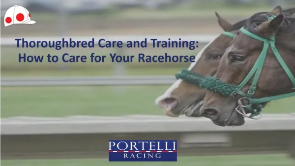 Thoroughbred Care and Training: How to Care for Your Racehorse