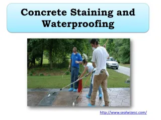 Concrete Staining and Waterproofing - slide 1