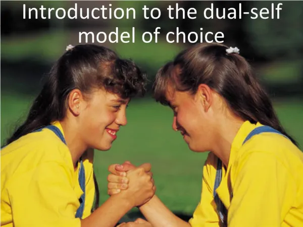 Introduction to the dual-self model of choice