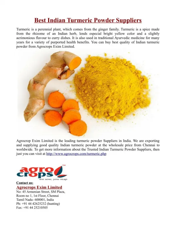 Best Indian Turmeric Powder Suppliers