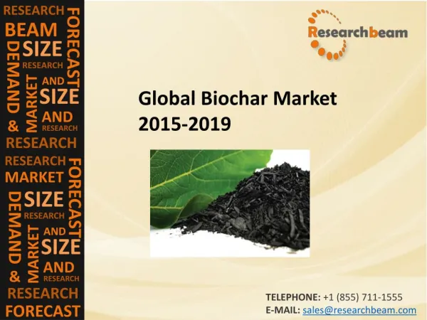 Global Biochar Market Size, Shares, Strategies, and Forecasts 2015-2019