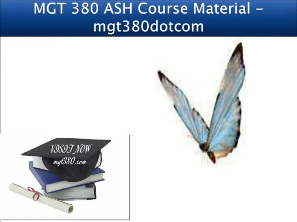 MGT 380 ASH Course Material - mgt380dotcom