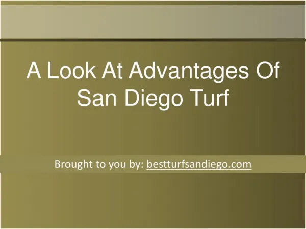 A Look At Advantages Of San Diego Turf