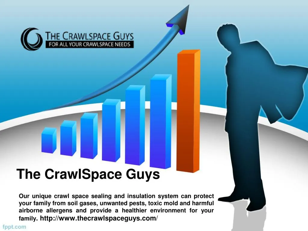 the crawlspace guys