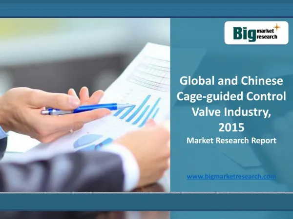 Global and Chinese Cage-guided Control Valve Industry 2015
