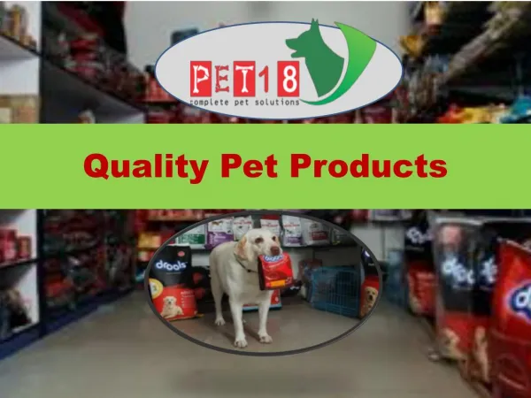 Pet 18 - Pet Store in Chandigarh