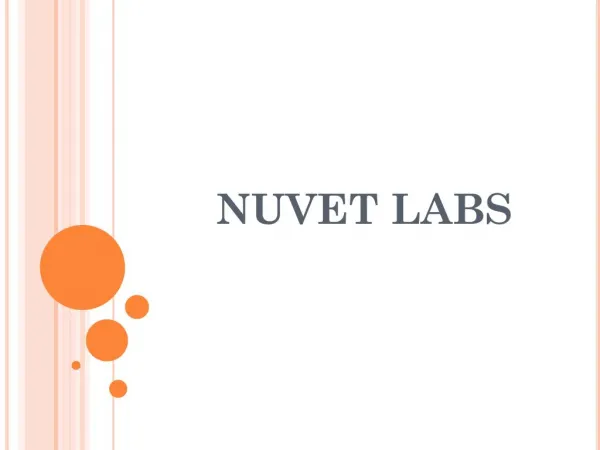 NuVet Labs: Facts about Bengal Cats
