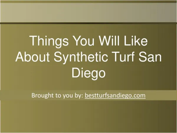 Things You Will Like About Synthetic Turf San Diego