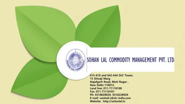 Leader In Agriculture Industry And Potato Storage In Delhi NCR