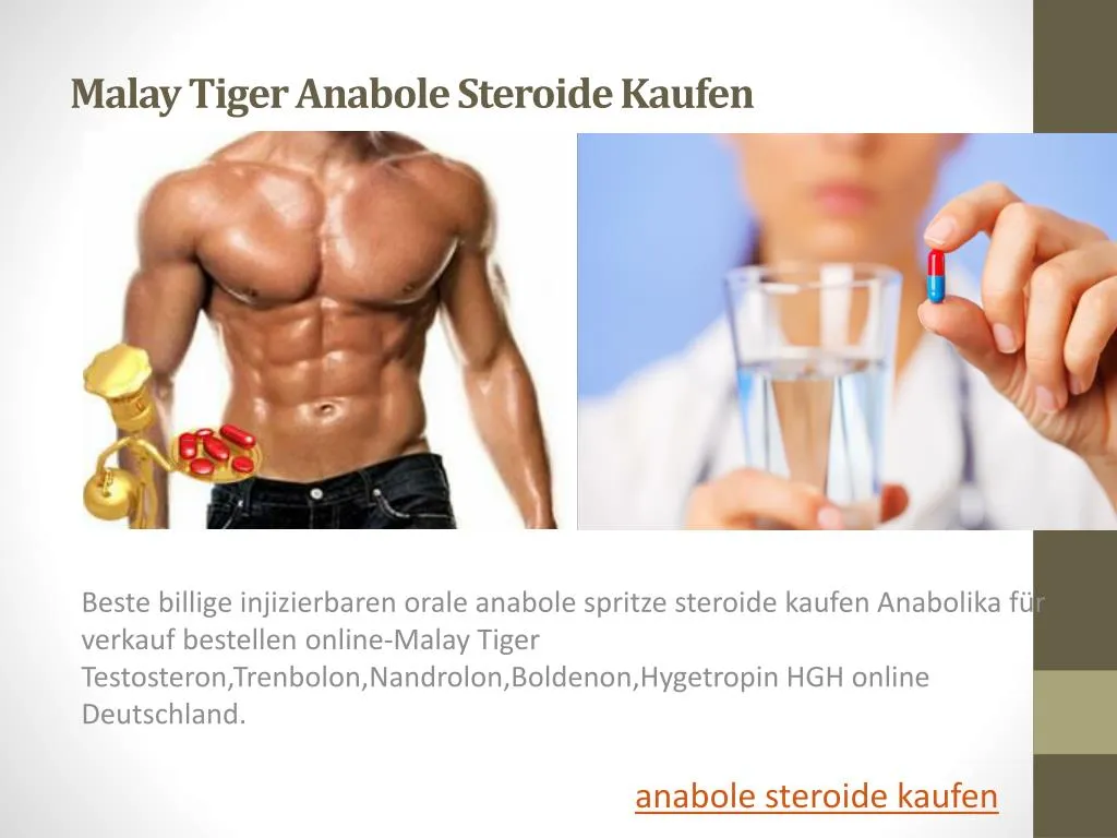 malay tiger anabole steroide kaufen